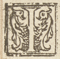 36276-10.jpg