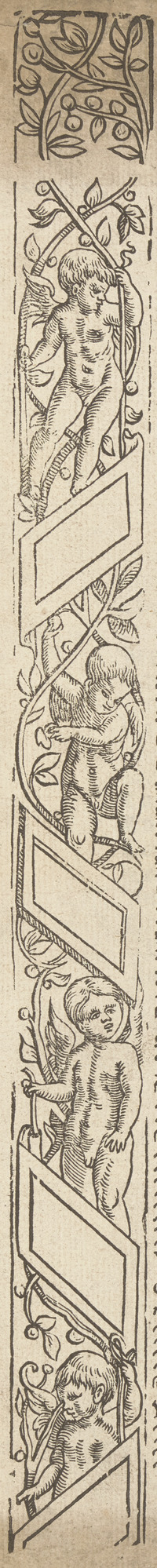36281-20.jpg
