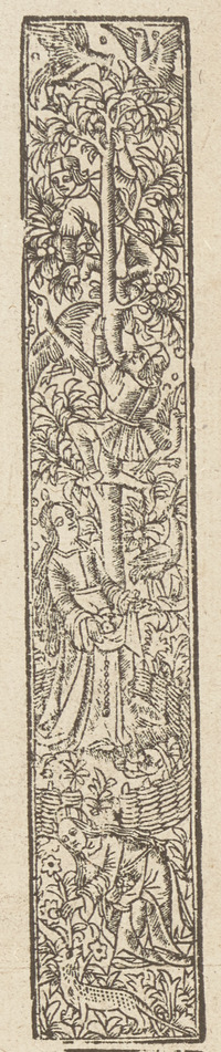 36290-40.jpg