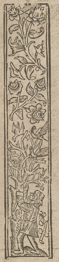 36290-60.jpg