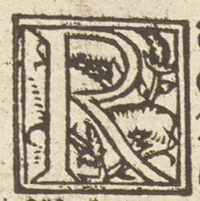 36291-10.jpg