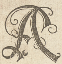 36292-10.jpg