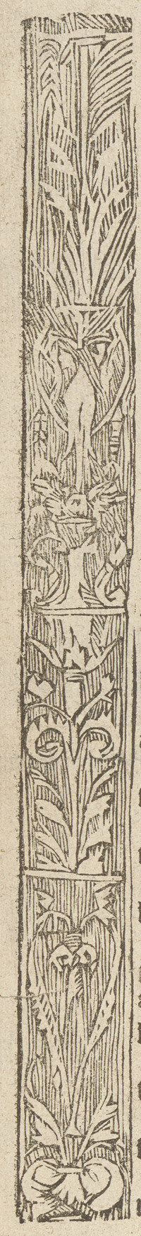 36299-20.jpg