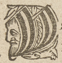 36306-20.jpg