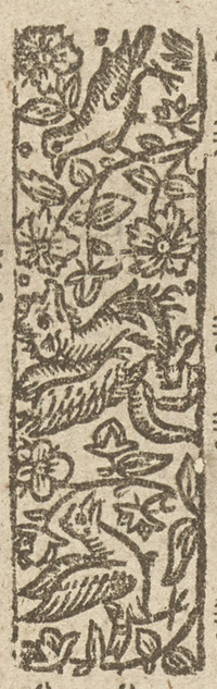 36306-30.jpg