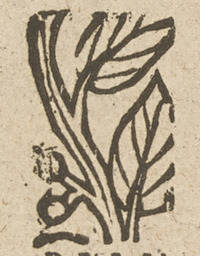 36309-20.jpg