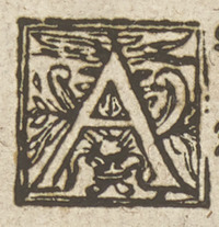 36312-10.jpg