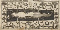 36312-20.jpg