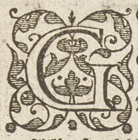 36313-10.jpg