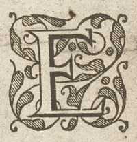 36313-100.jpg