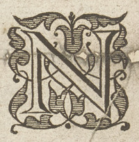 36313-20.jpg