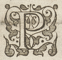 36313-50.jpg
