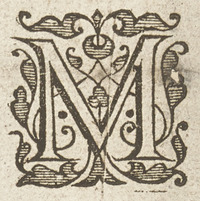 36313-60.jpg