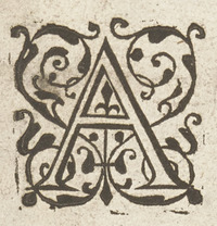36313-70.jpg