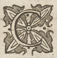 36313-80.jpg