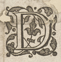 36313-90.jpg