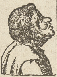 36317-70.jpg