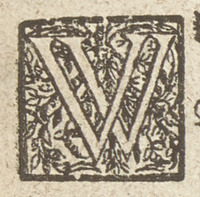 36317-90.jpg