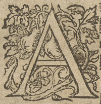 36318-20.jpg