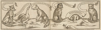 36336-20.jpg