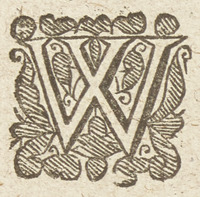 36350-10.jpg